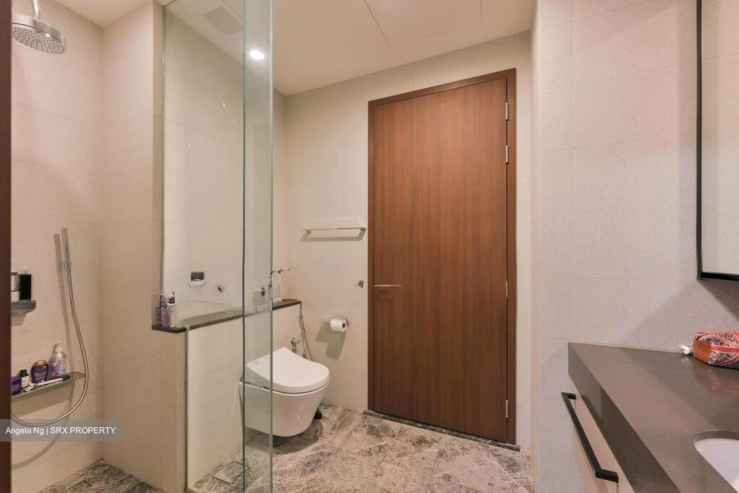 Parksuites (D10), Apartment #566274141